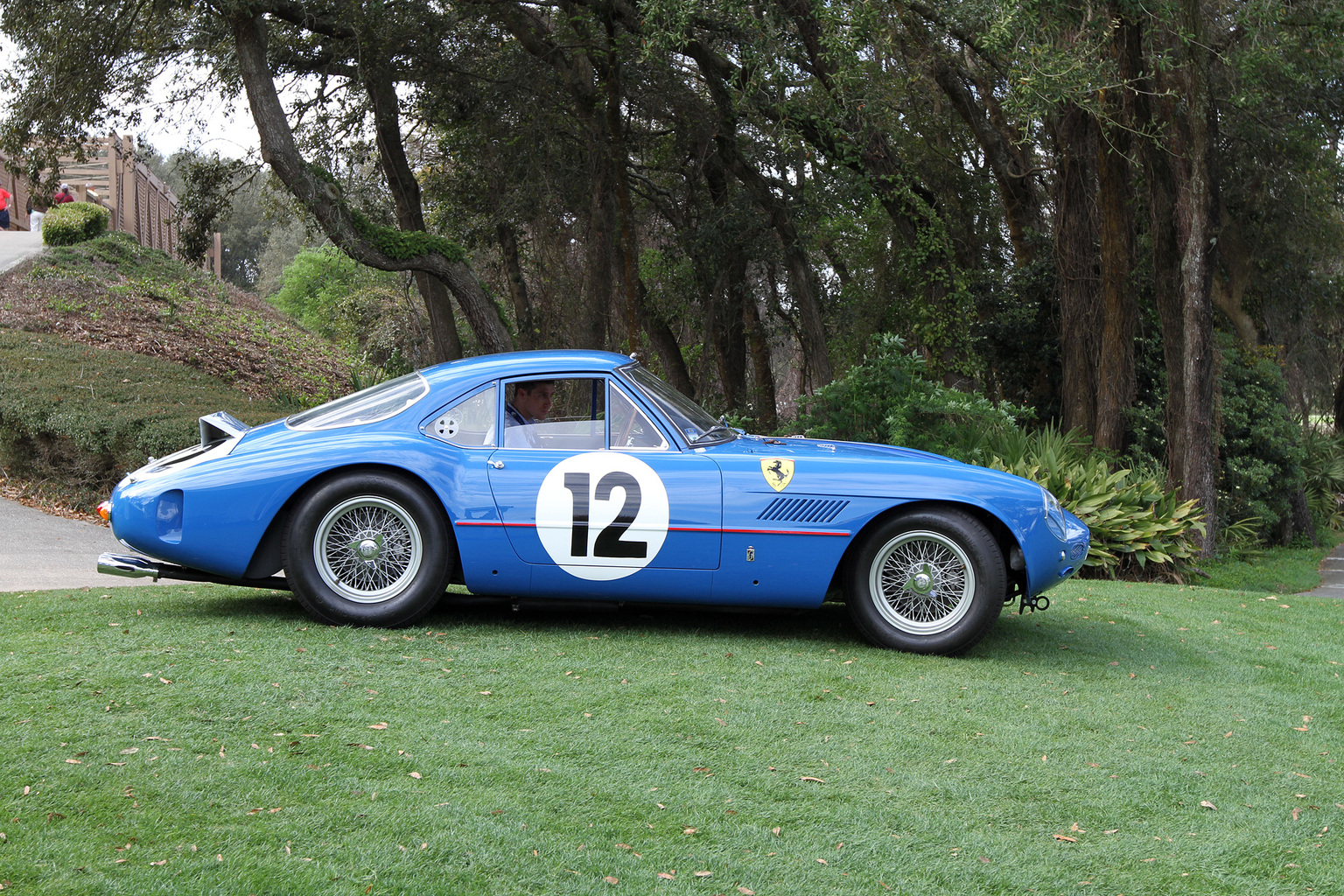 2015 Amelia Island Concours d'Elegance