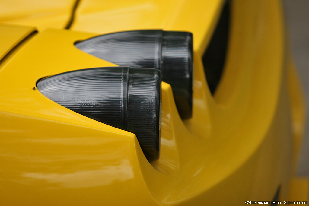 2008 Edo Competition Enzo Image Gallery