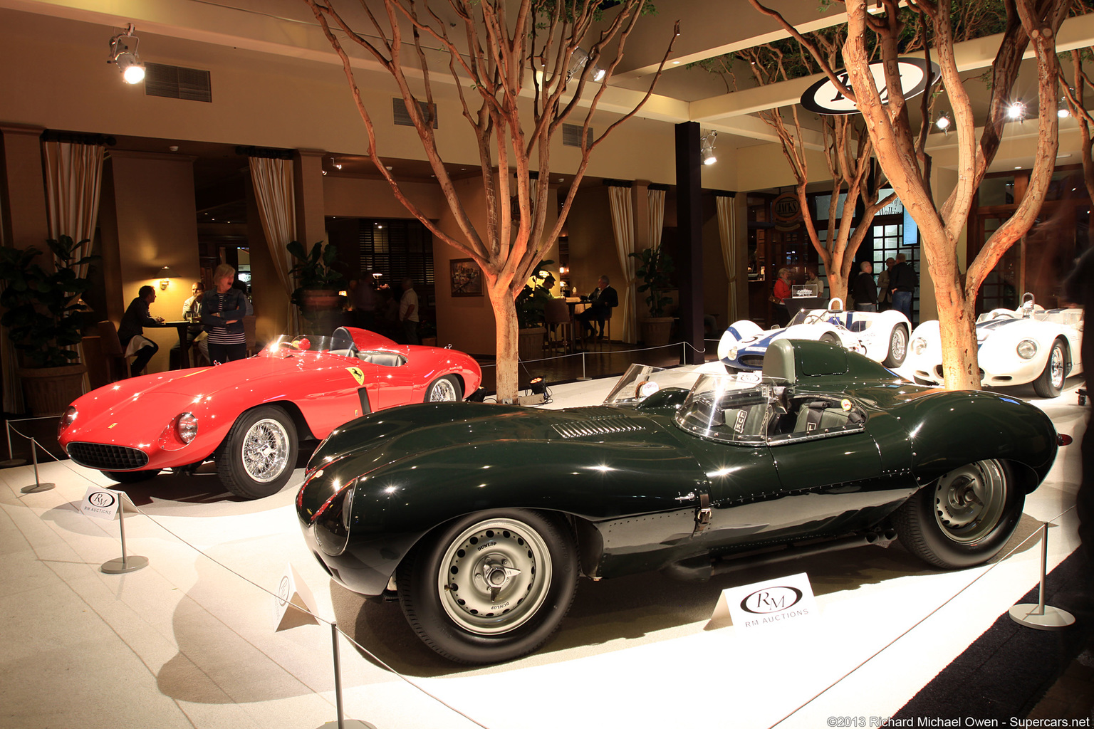 1954 Jaguar D-Type Gallery