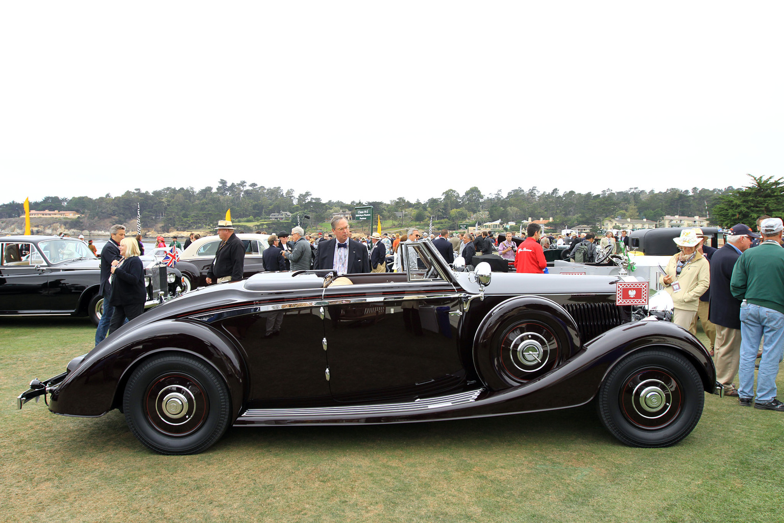 2014 Pebble Beach Concours d'Elegance-10