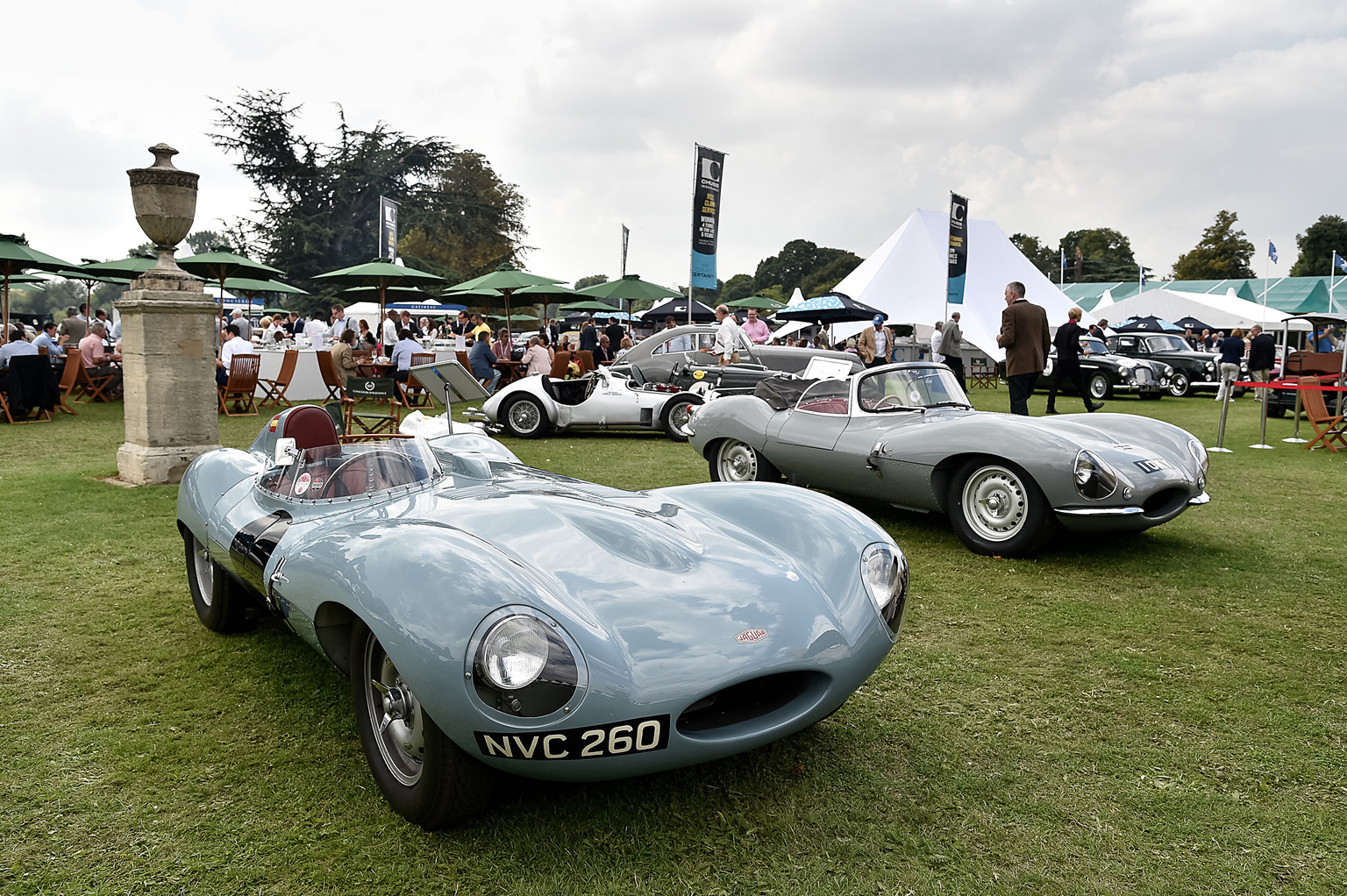 1954 Jaguar D-Type Gallery