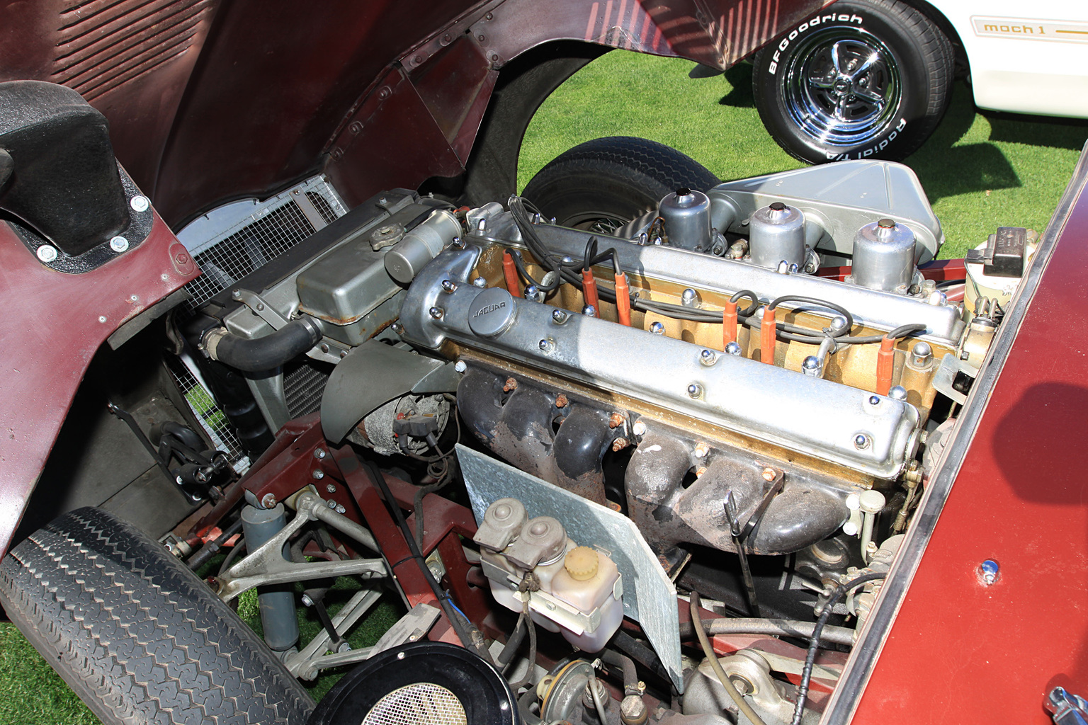 1965 Jaguar E-Type 4.2 Coupe Gallery