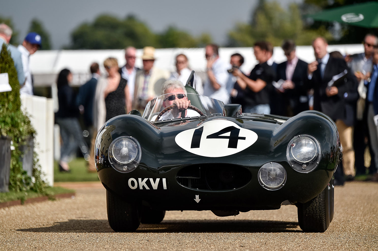 1954 Jaguar D-Type Gallery