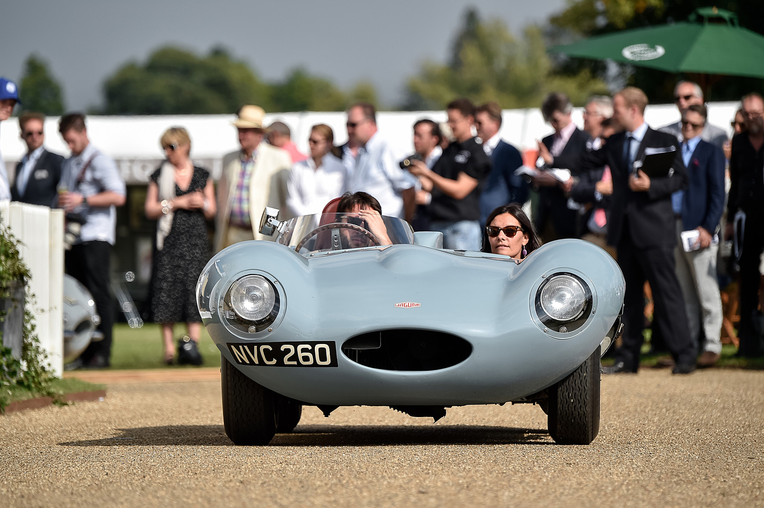 1954 Jaguar D-Type Gallery