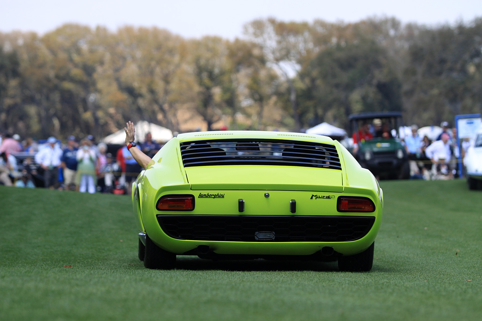 2015 Amelia Island Concours d'Elegance-28