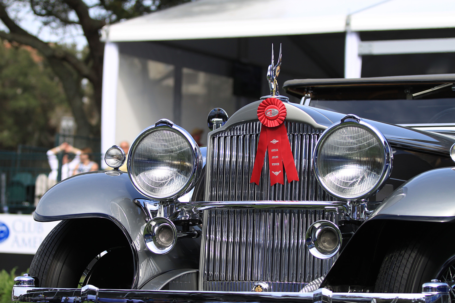 2015 Amelia Island Concours d'Elegance-3