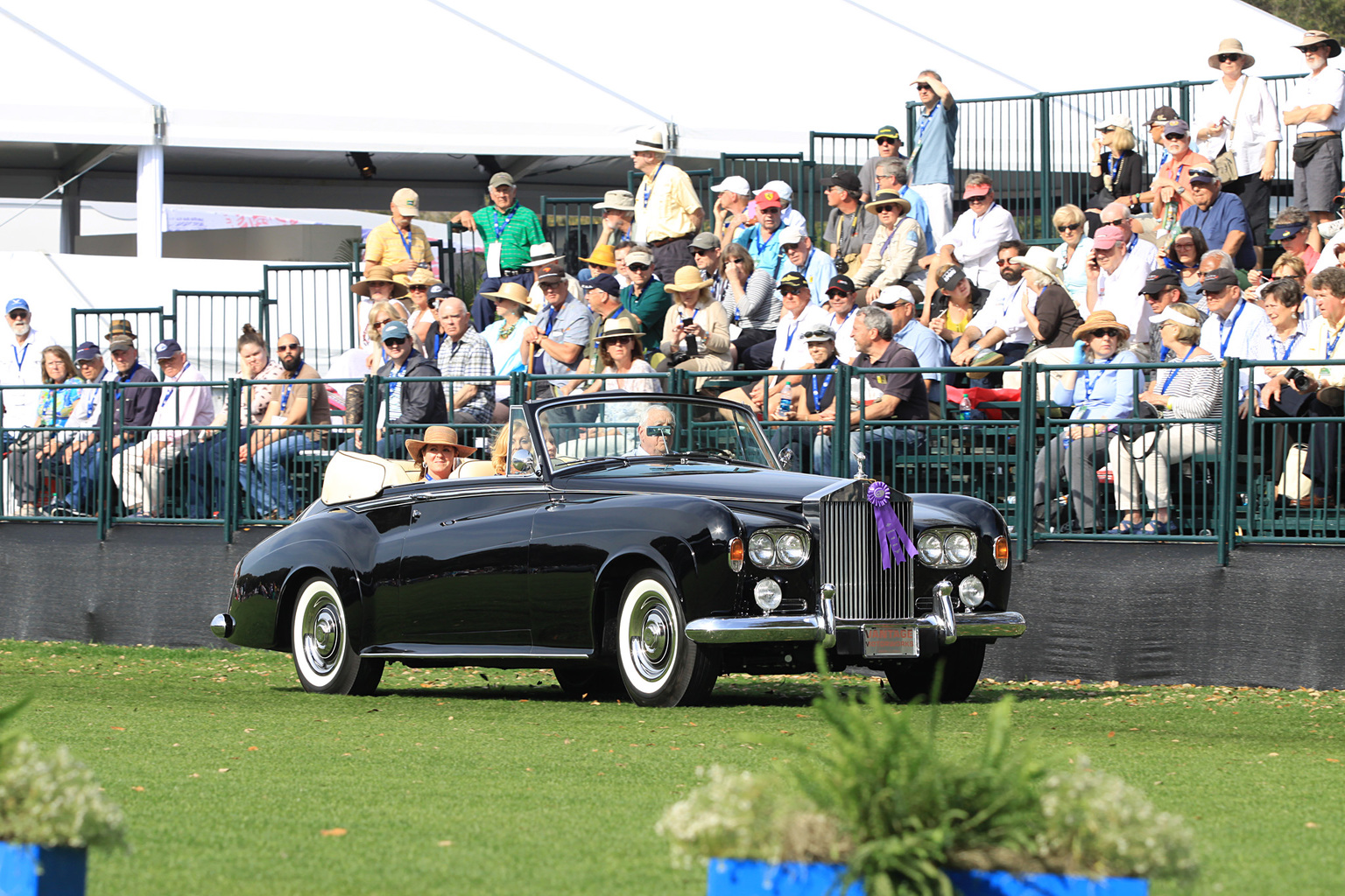 2015 Amelia Island Concours d'Elegance-20