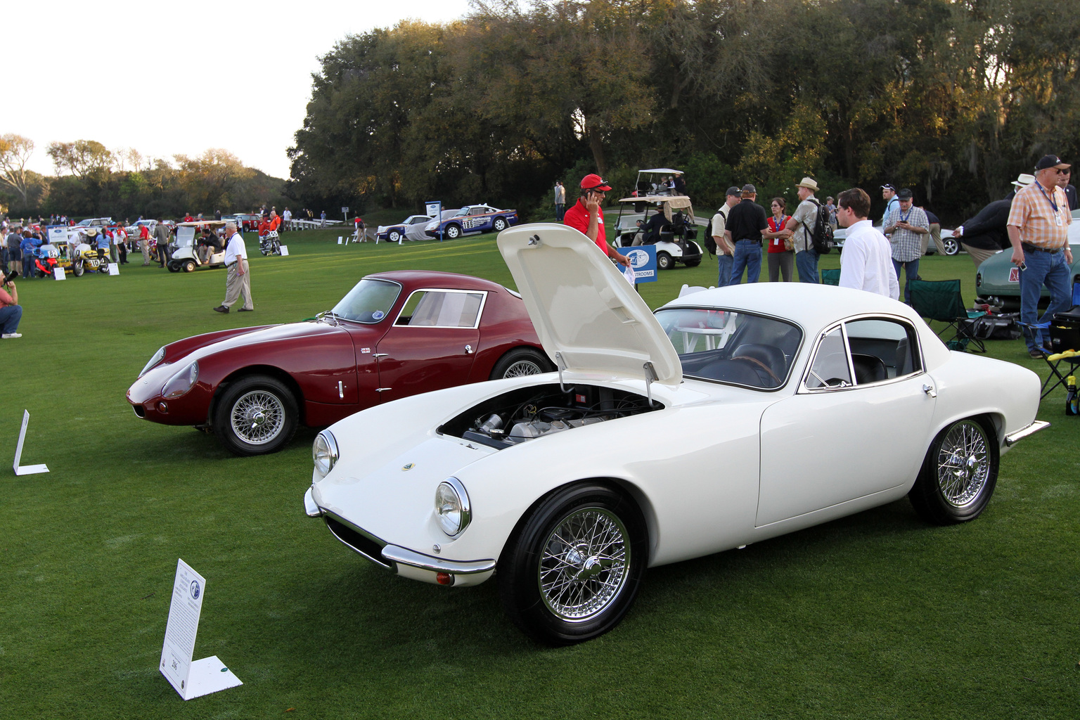 2015 Amelia Island Concours d'Elegance-27