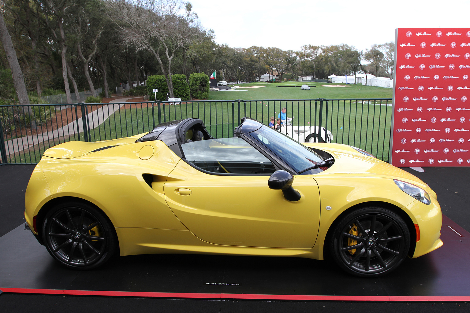 2015 Amelia Island Concours d'Elegance-33