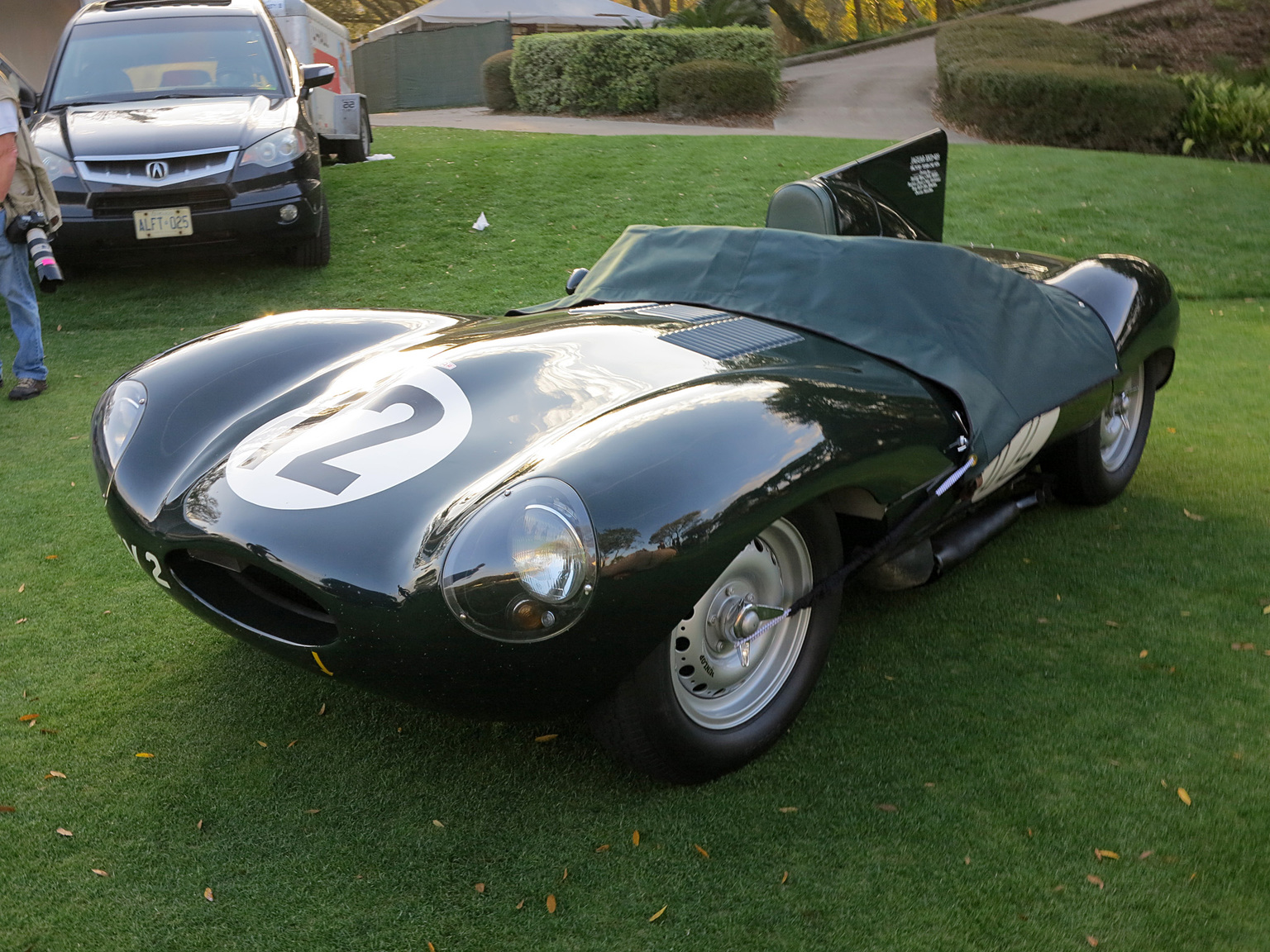 1954 Jaguar D-Type