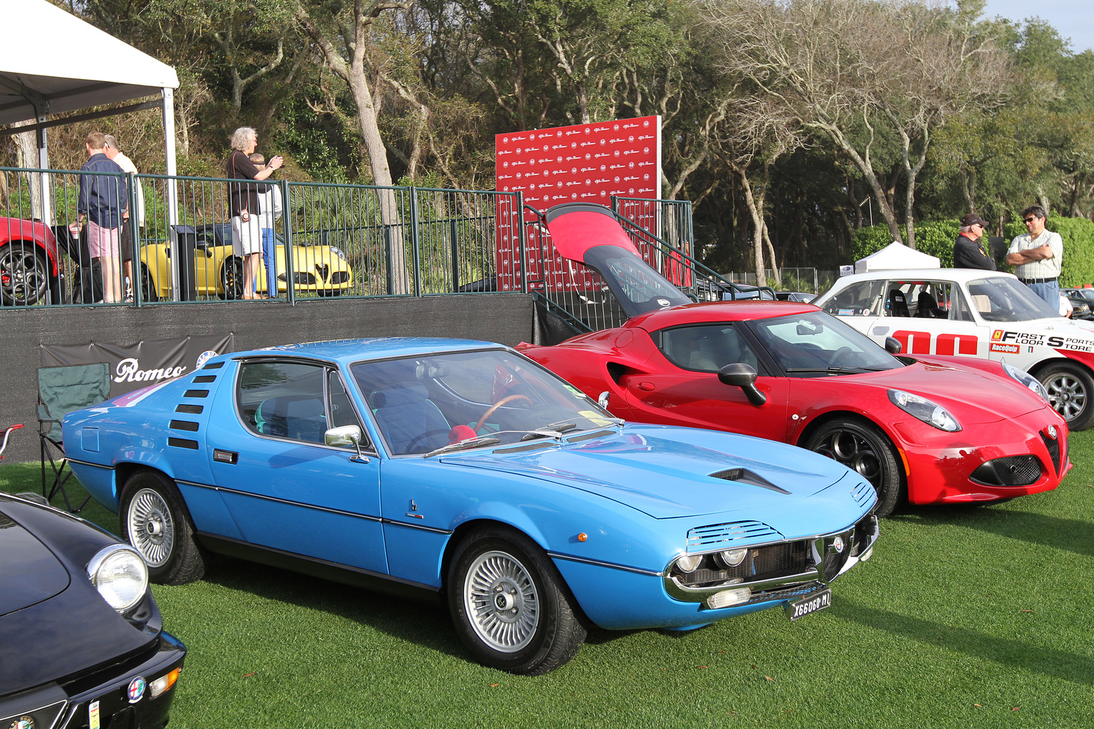 2015 Amelia Island Concours d'Elegance-34