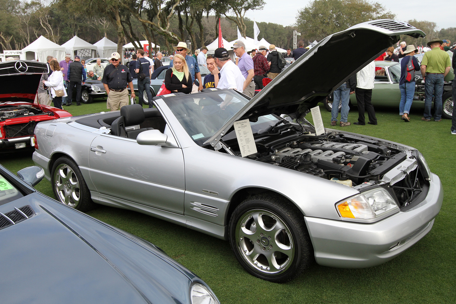 2015 Amelia Island Concours d'Elegance-34