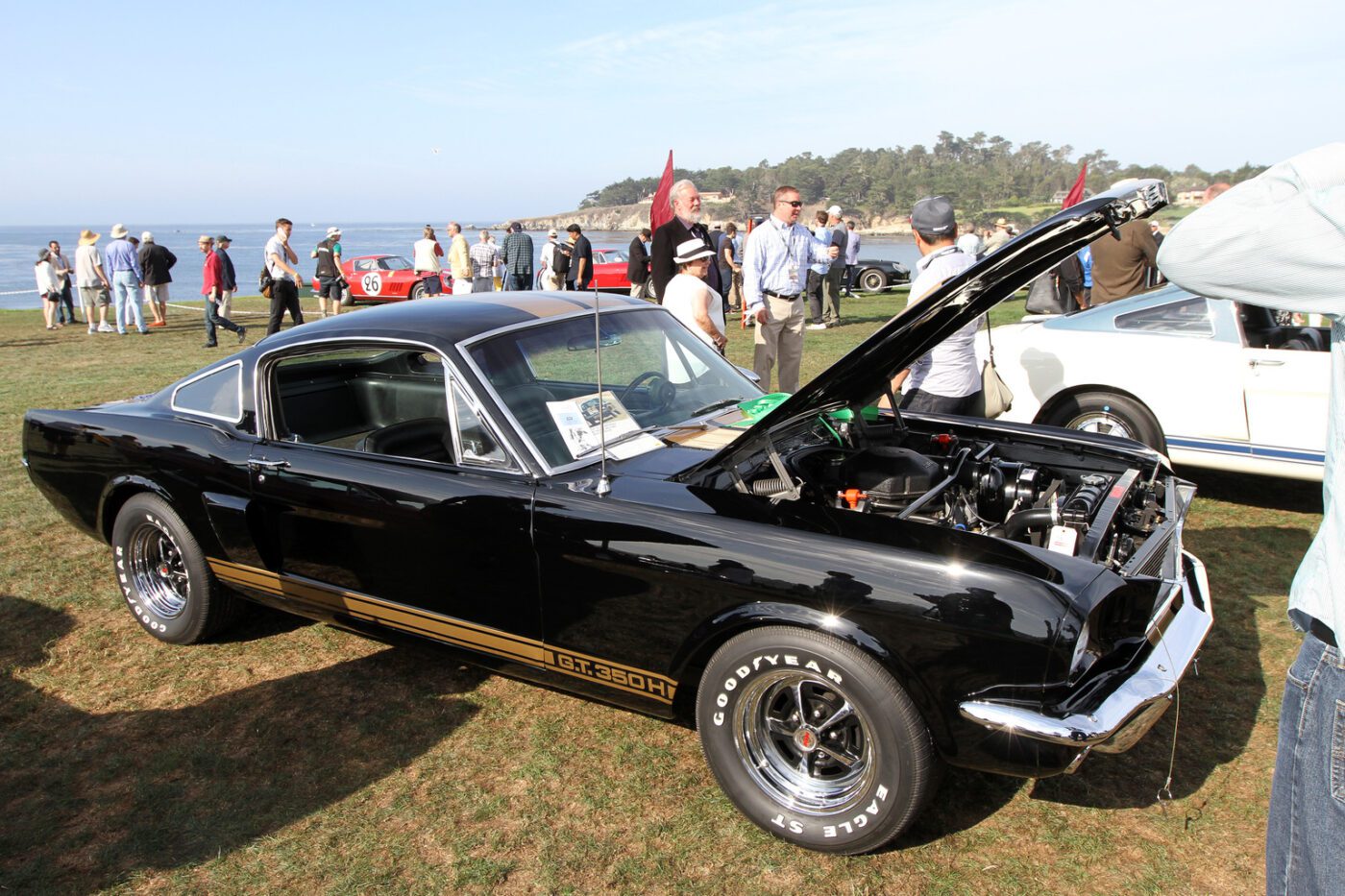 2015 Pebble Beach Concours d'Elegance-29