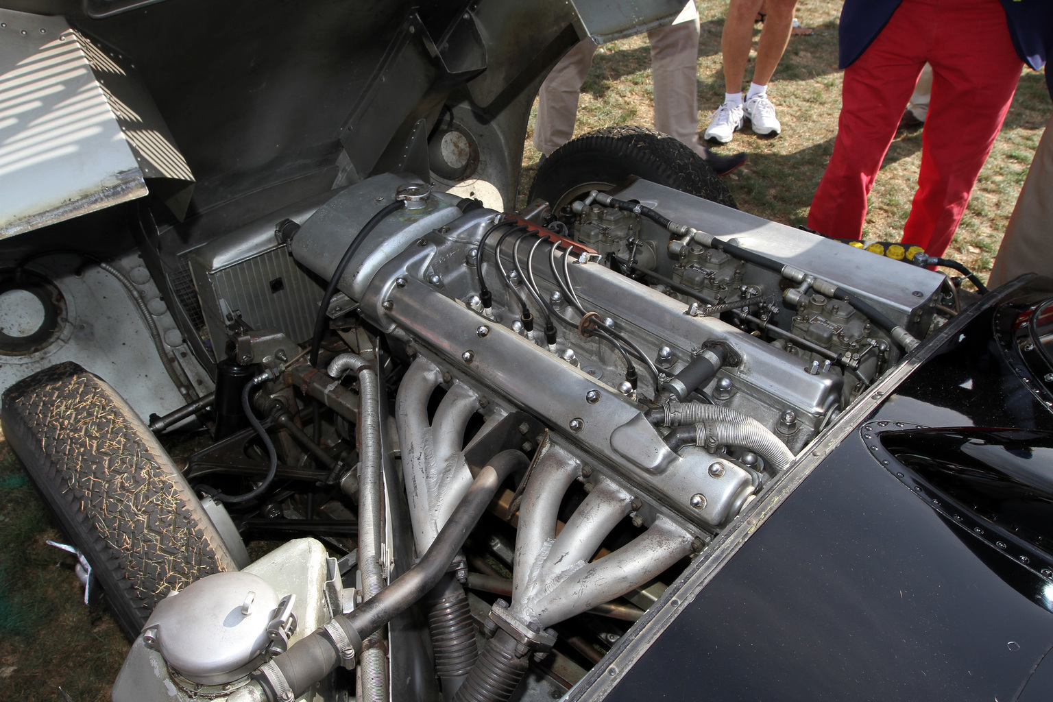 1954 Jaguar D-Type Gallery