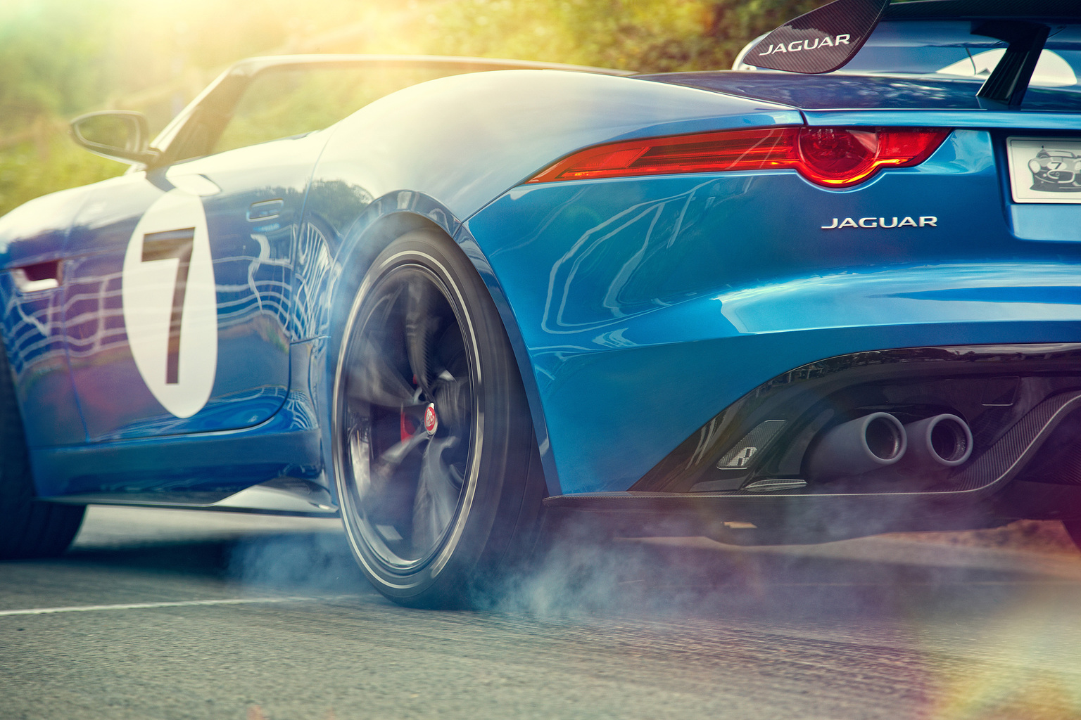 2013 Jaguar Project 7