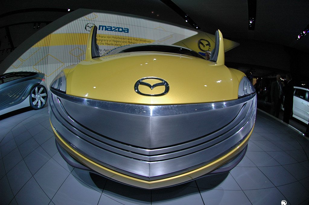 2007 New York Auto Show - 11