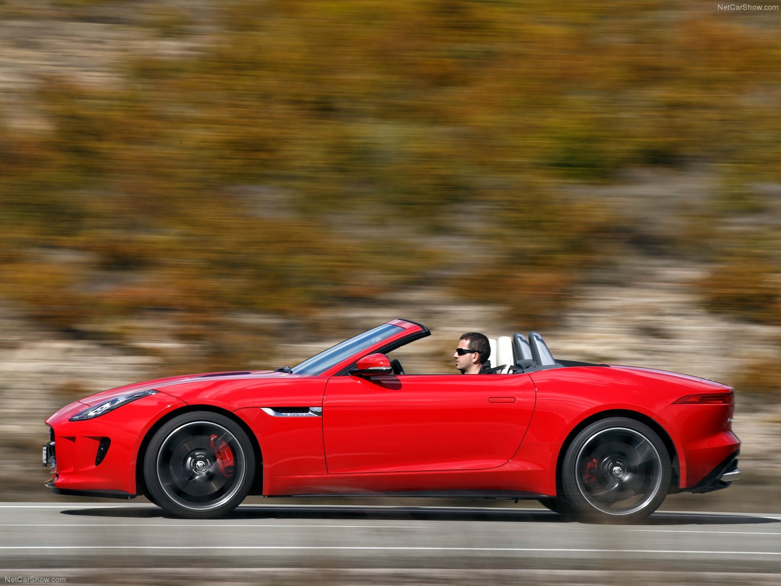 2013 Jaguar F-Type V8 S