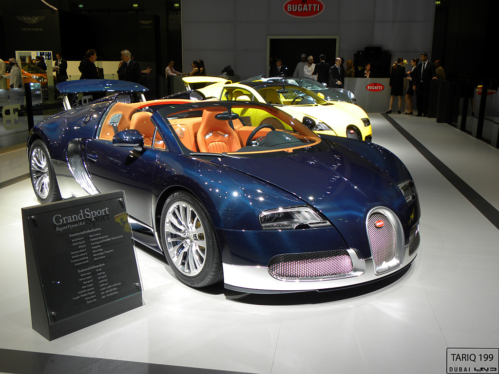 2011 Dubai International Motor Show-1