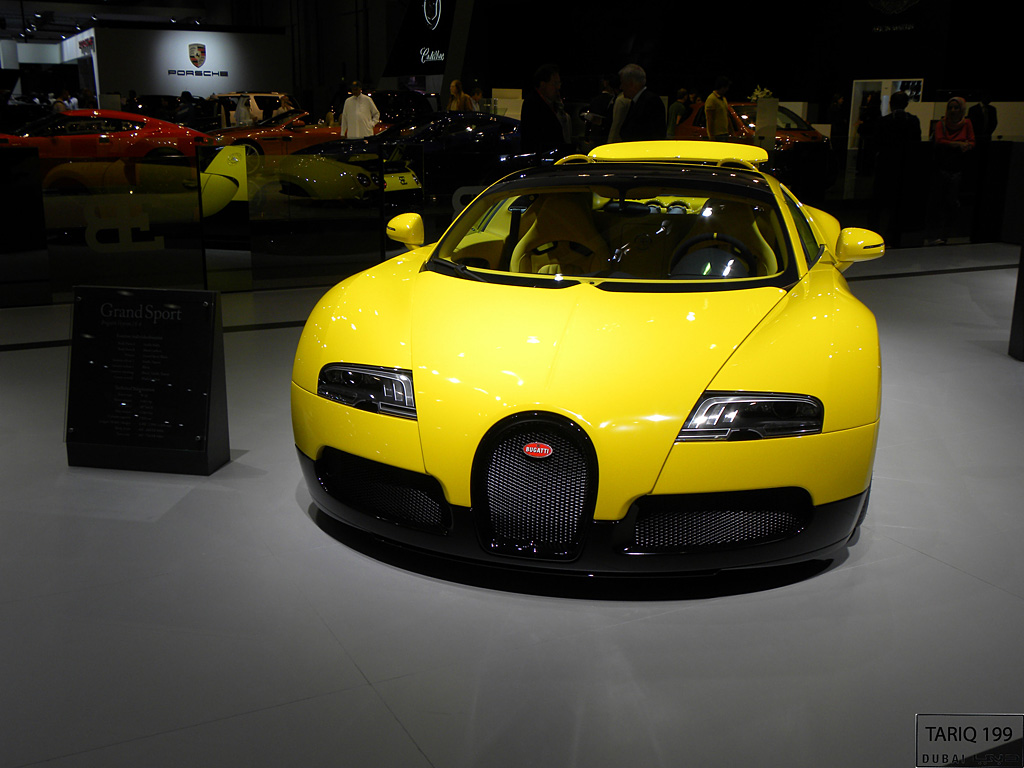 2011 Dubai International Motor Show-1