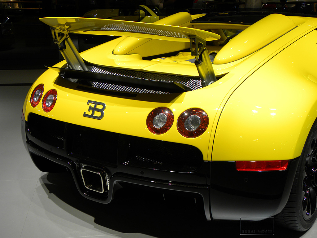 2011 Dubai International Motor Show-1