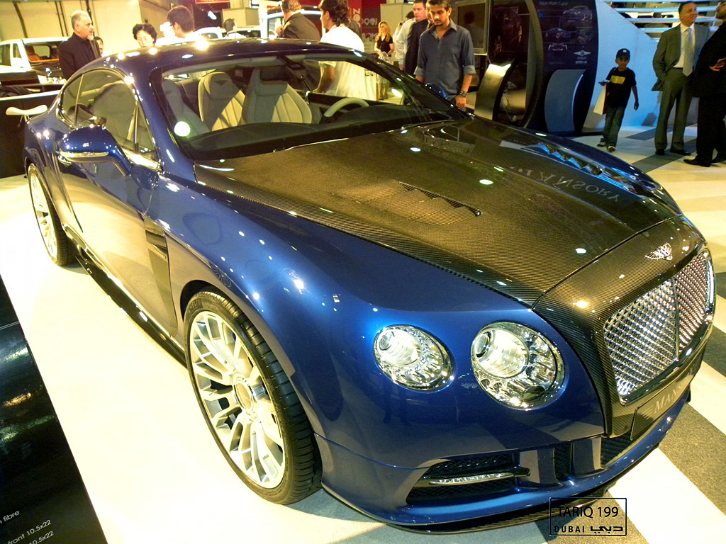 2011 Dubai International Motor Show-1