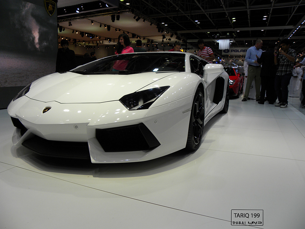 2011 Dubai International Motor Show-1