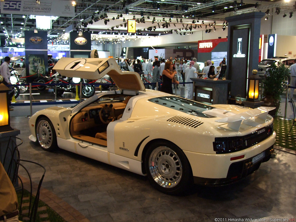 2011 Dubai International Motor Show-1