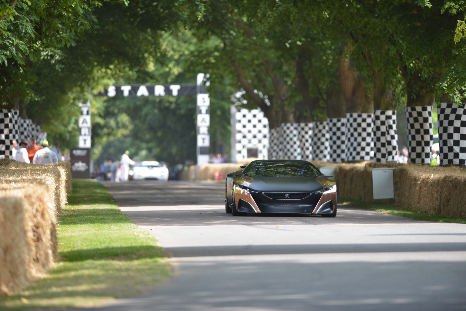 2013 Goodwood Festival of Speed