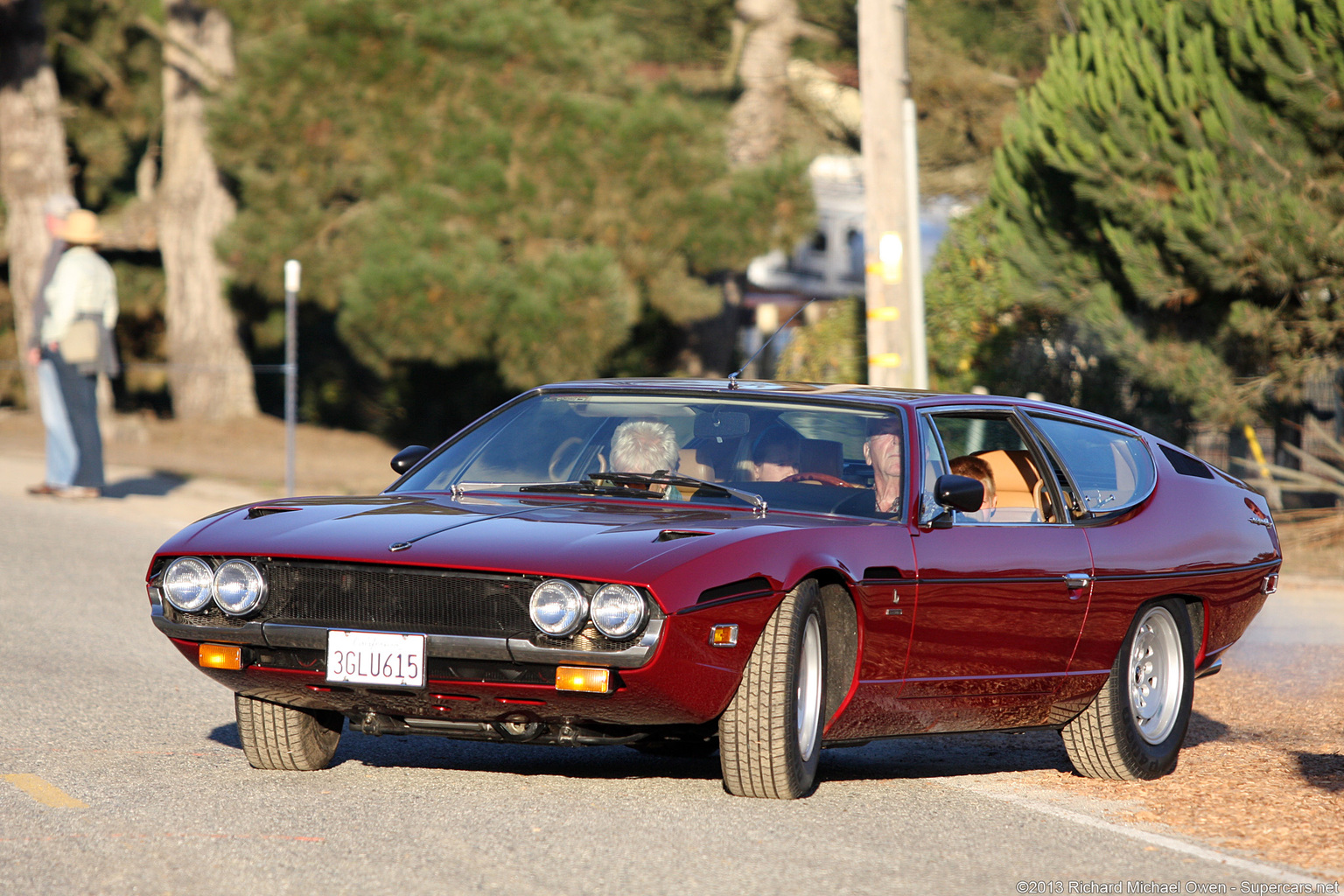 2013 Pebble Beach Concours d'Elegance-23