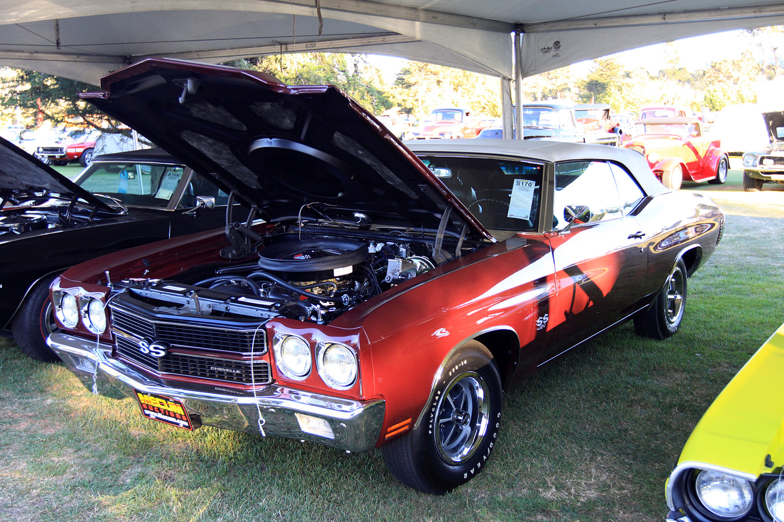 1970 Chevrolet Chevelle SS454 Gallery