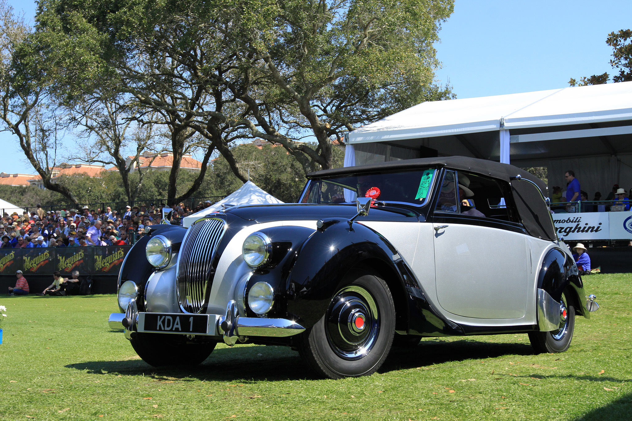 2014 Amelia Island Concours d'Elegance-33