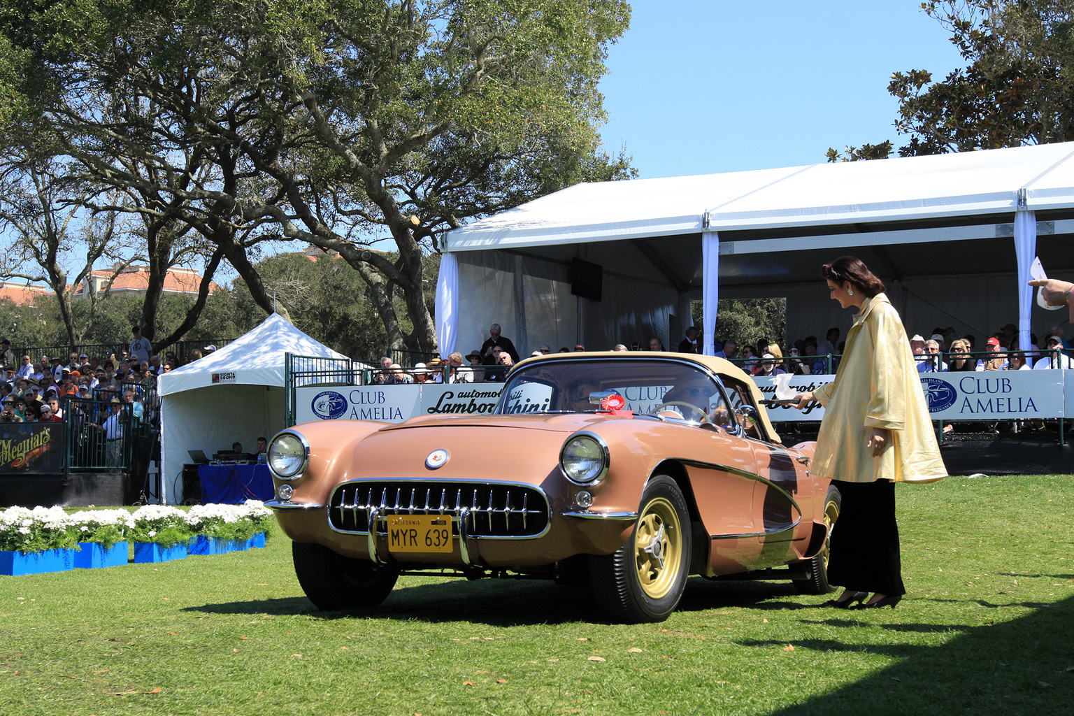 2014 Amelia Island Concours d'Elegance-10