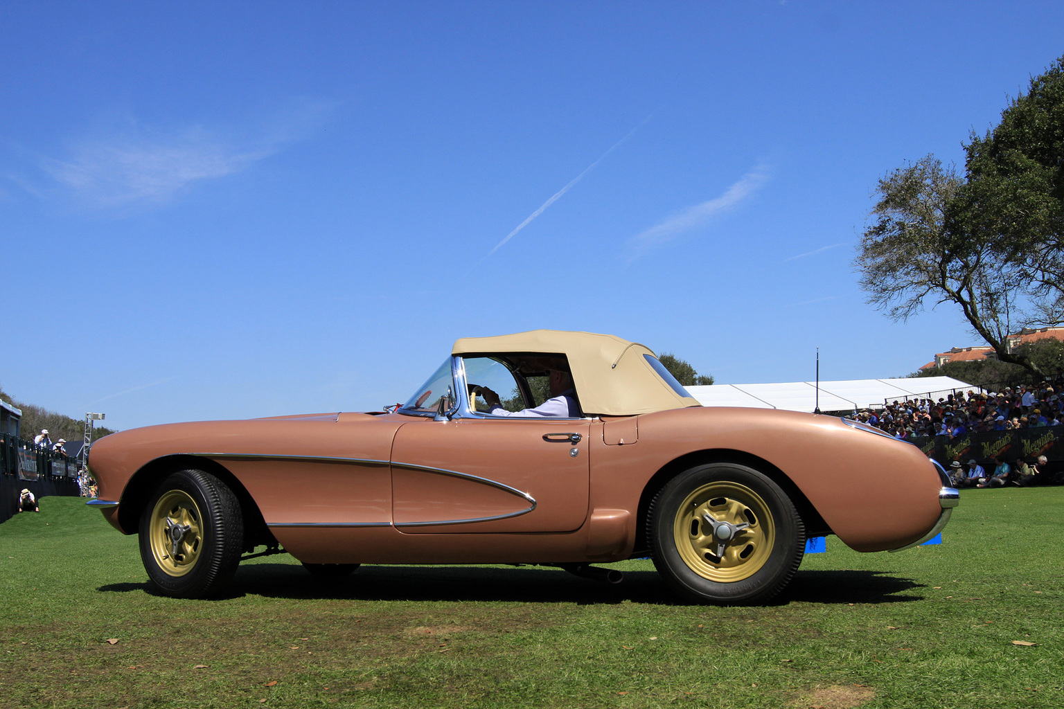 2014 Amelia Island Concours d'Elegance-10