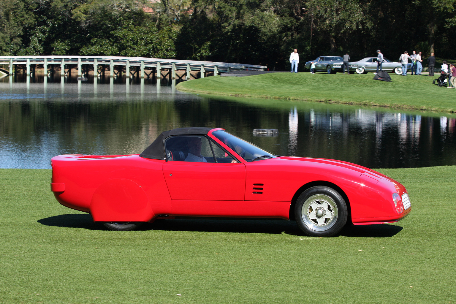 2014 Amelia Island Concours d'Elegance-21