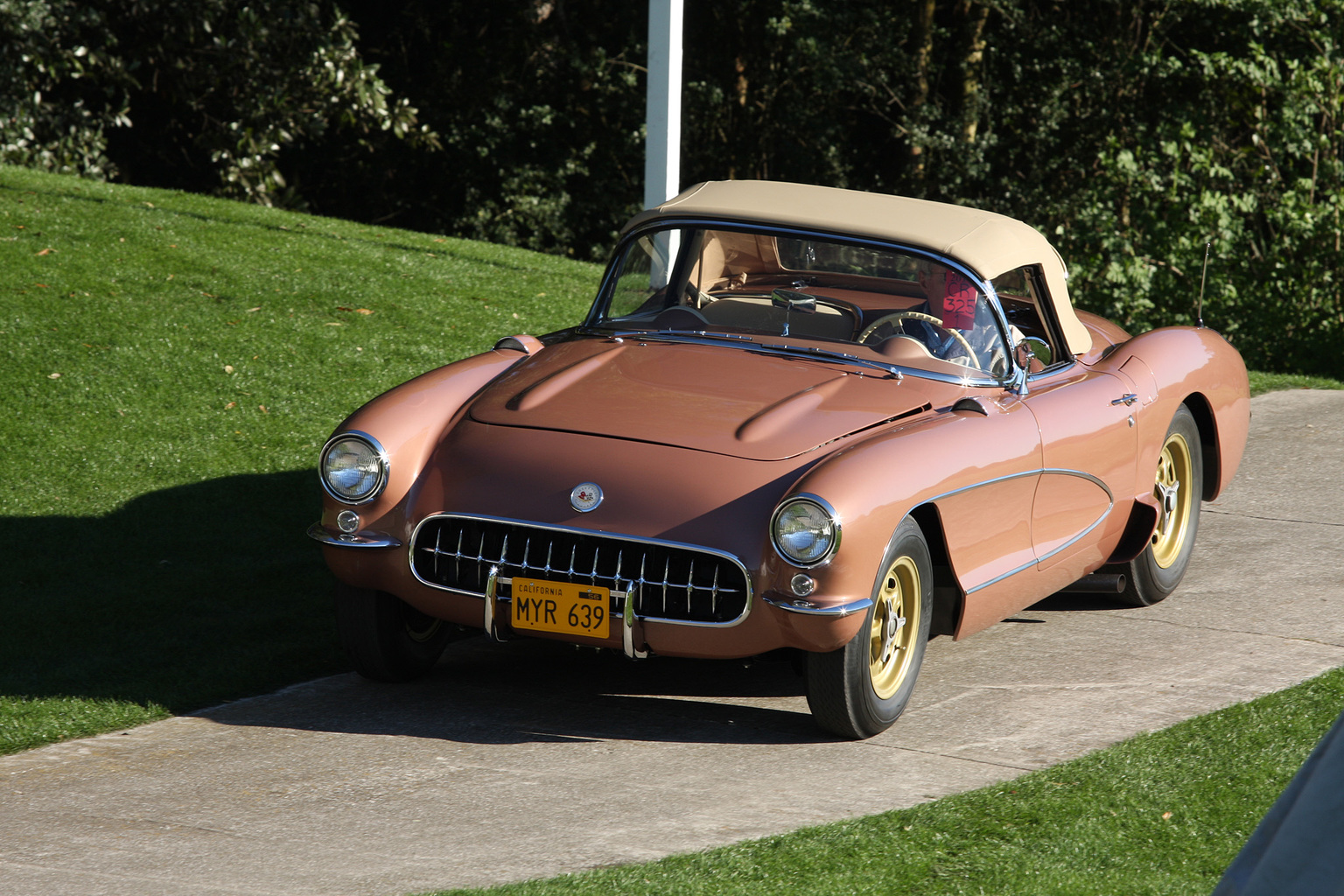 2014 Amelia Island Concours d'Elegance-10