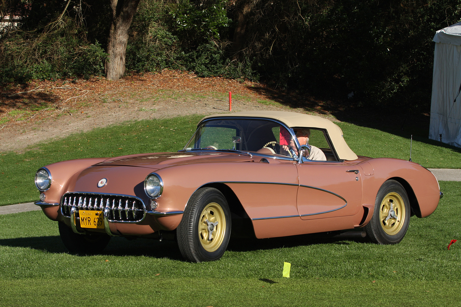 2014 Amelia Island Concours d'Elegance-10