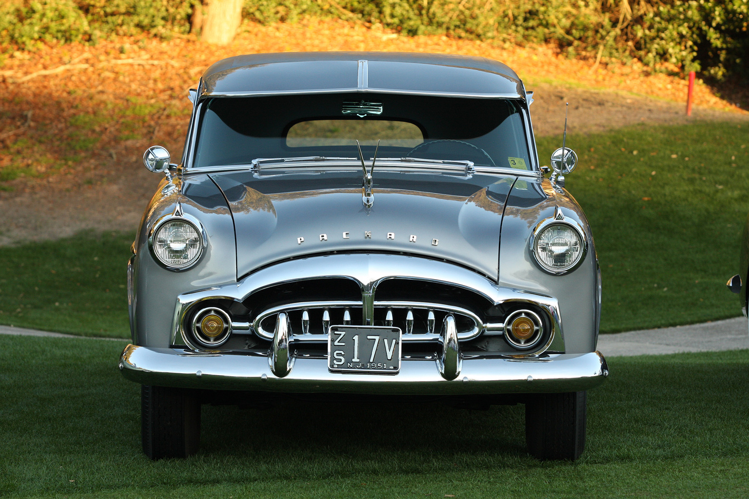 2014 Amelia Island Concours d'Elegance-9