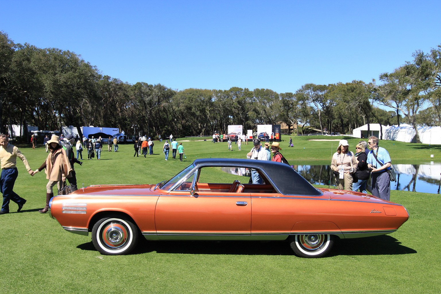 2014 Amelia Island Concours d'Elegance-8