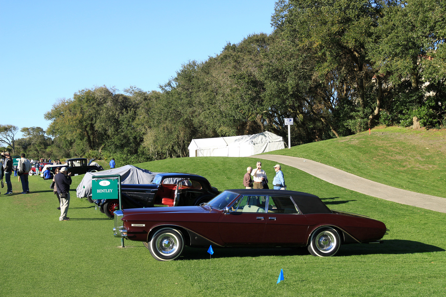 2014 Amelia Island Concours d'Elegance-15