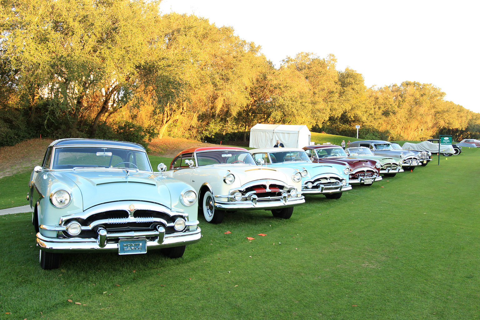 2014 Amelia Island Concours d'Elegance-9