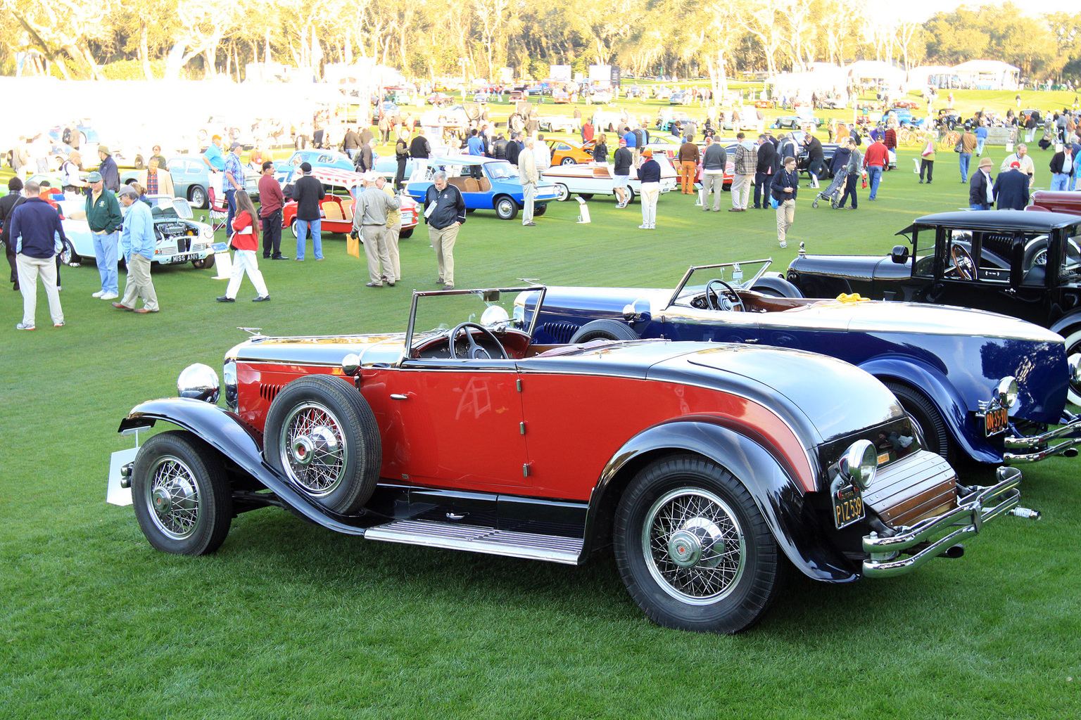 2014 Amelia Island Concours d'Elegance-18