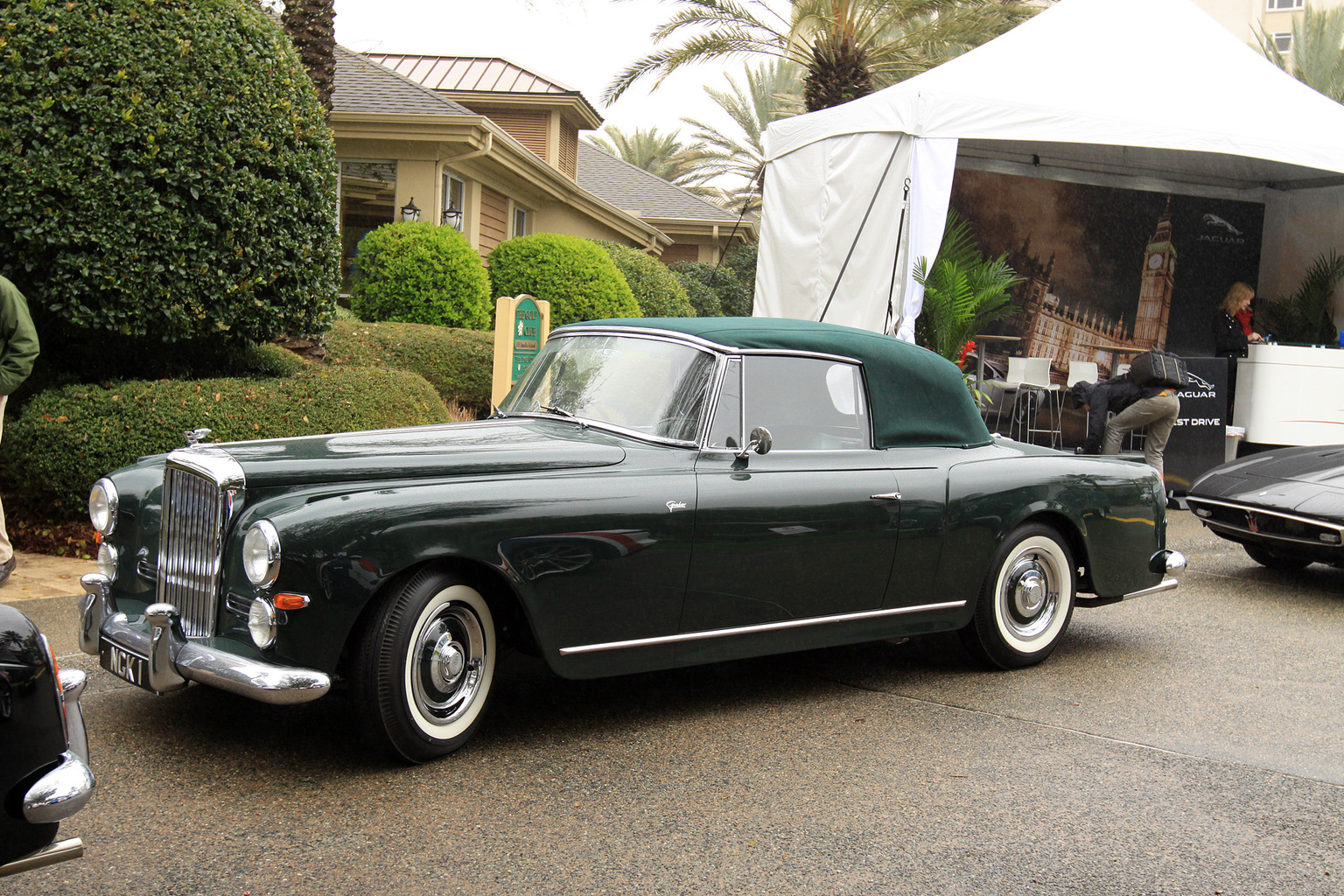 2014 Amelia Island Concours d'Elegance-16