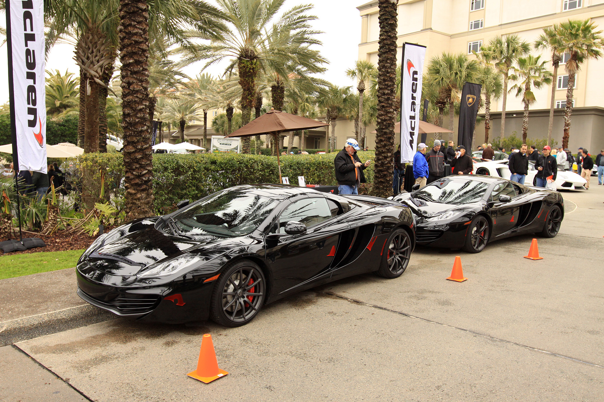 2014 Amelia Island Concours d'Elegance