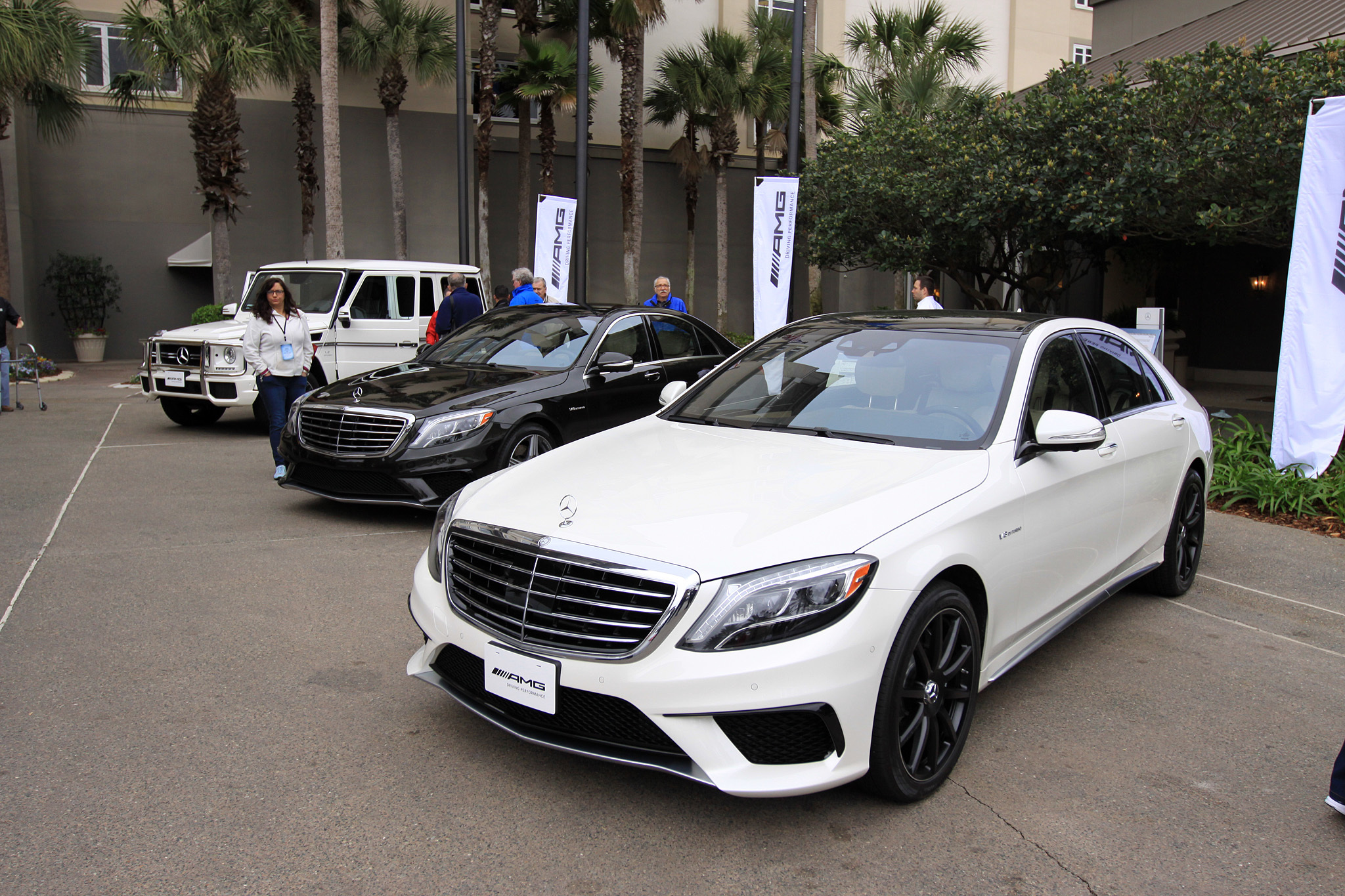 2014 Amelia Island Concours d'Elegance