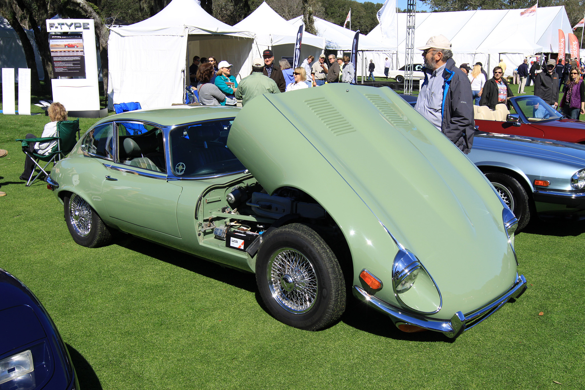 2014 Amelia Island Concours d'Elegance-38