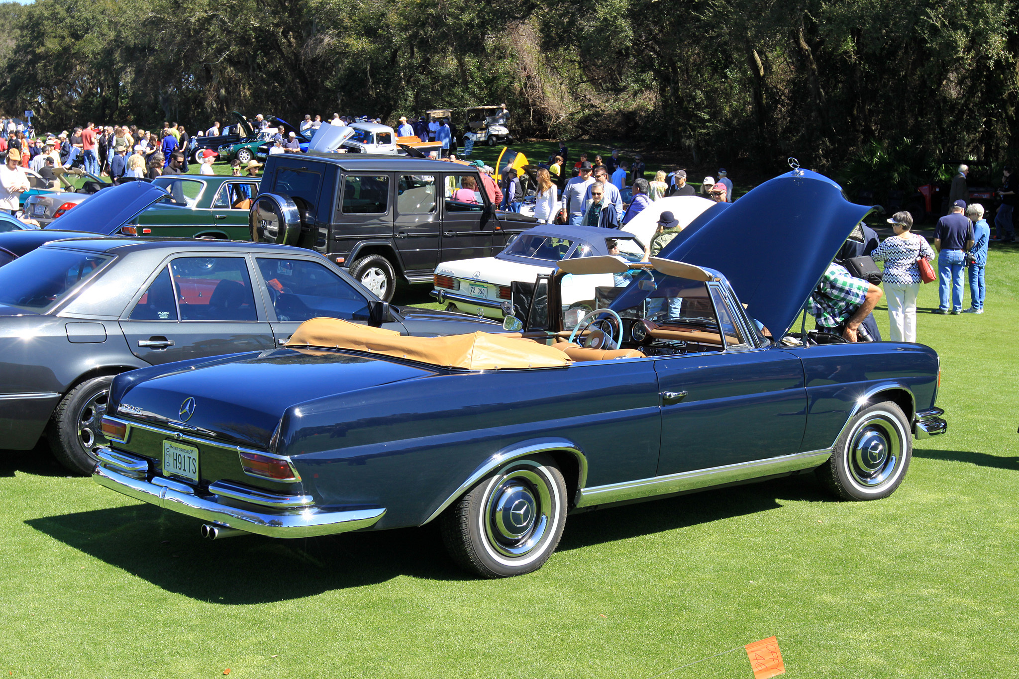 2014 Amelia Island Concours d'Elegance-38