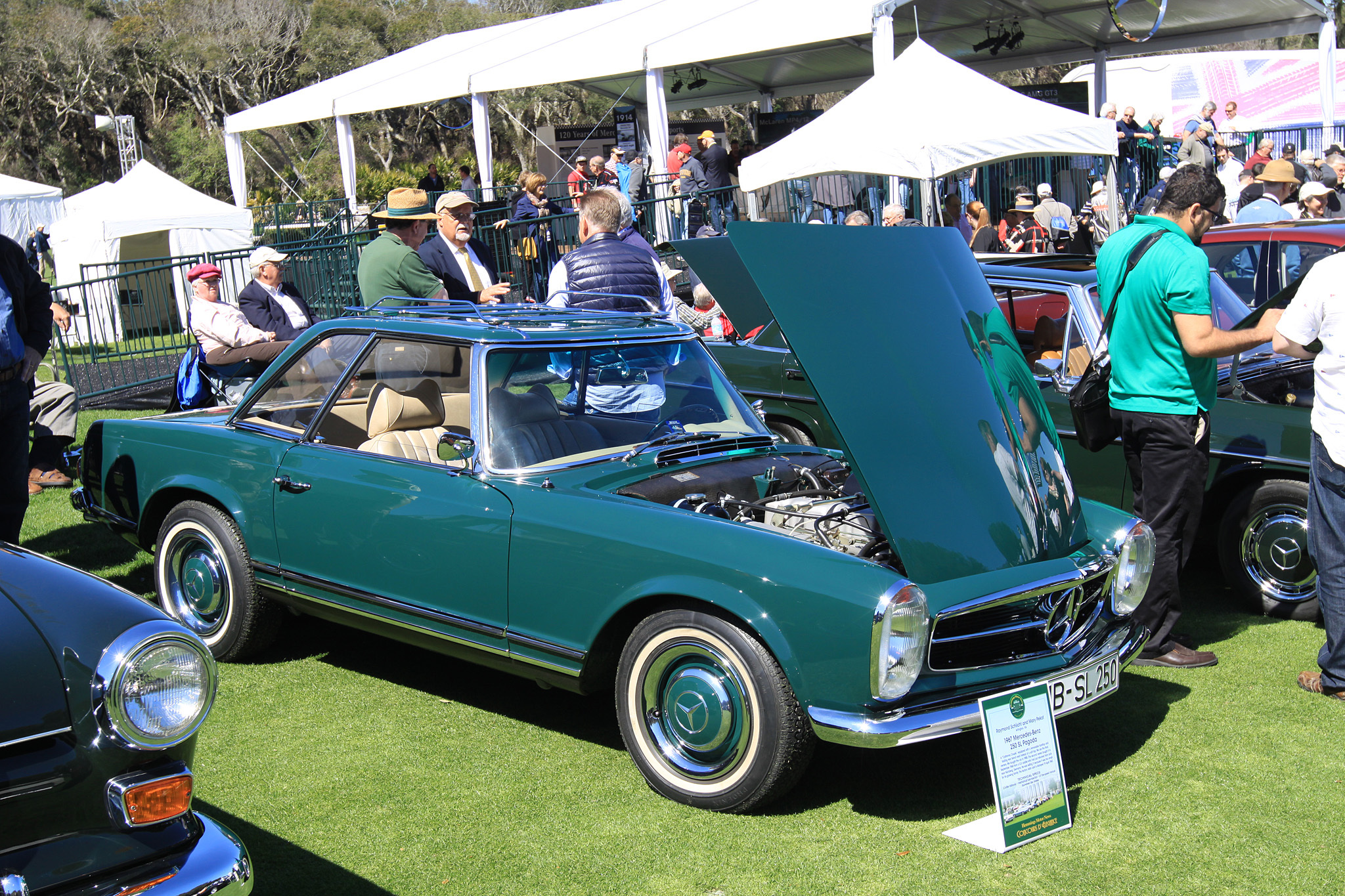 2014 Amelia Island Concours d'Elegance-38