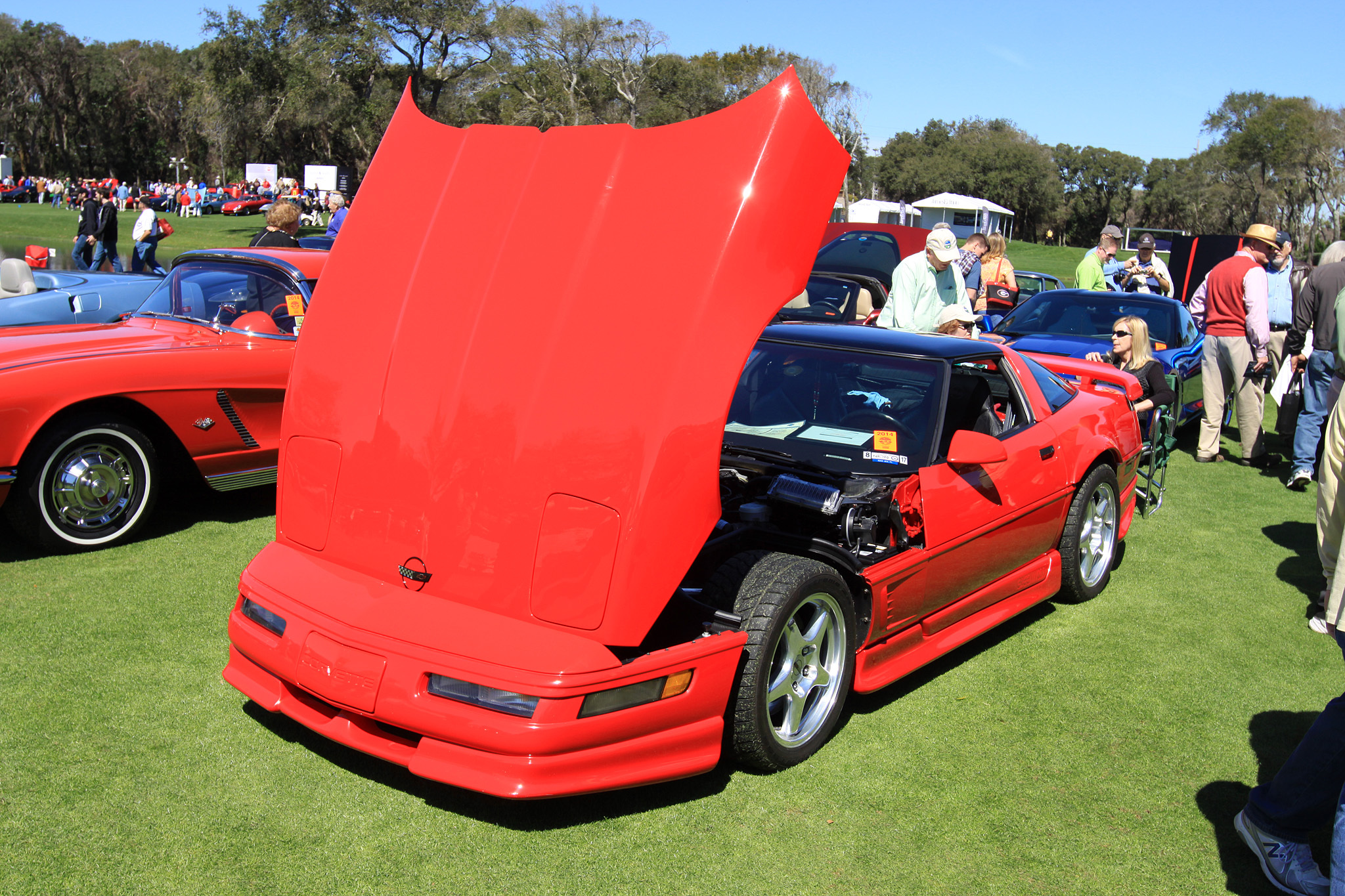 2014 Amelia Island Concours d'Elegance-38