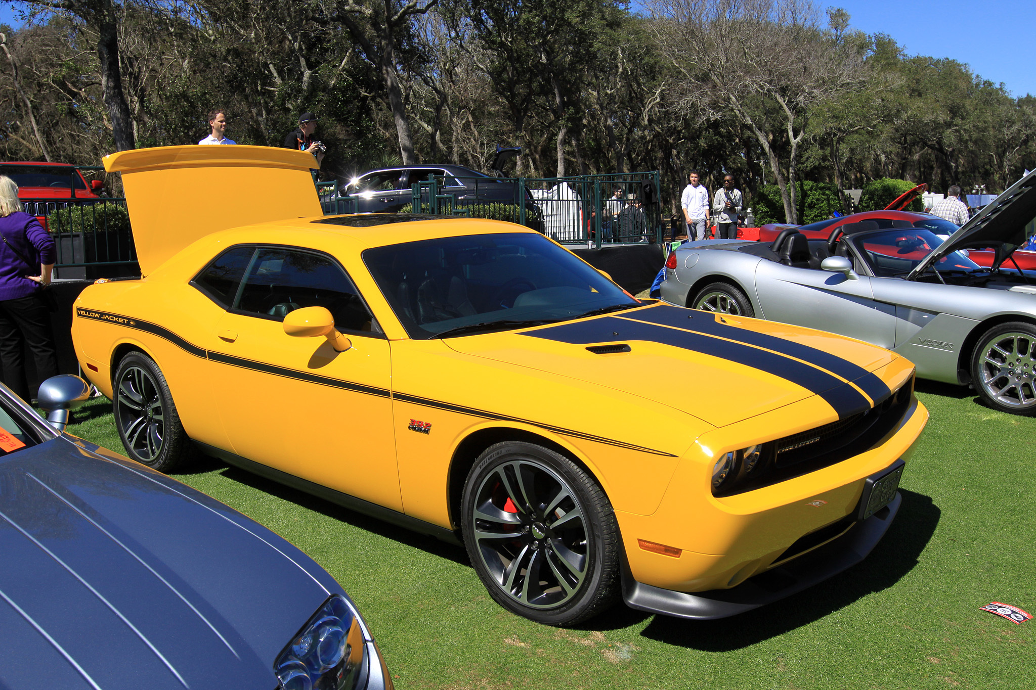 2014 Amelia Island Concours d'Elegance-38