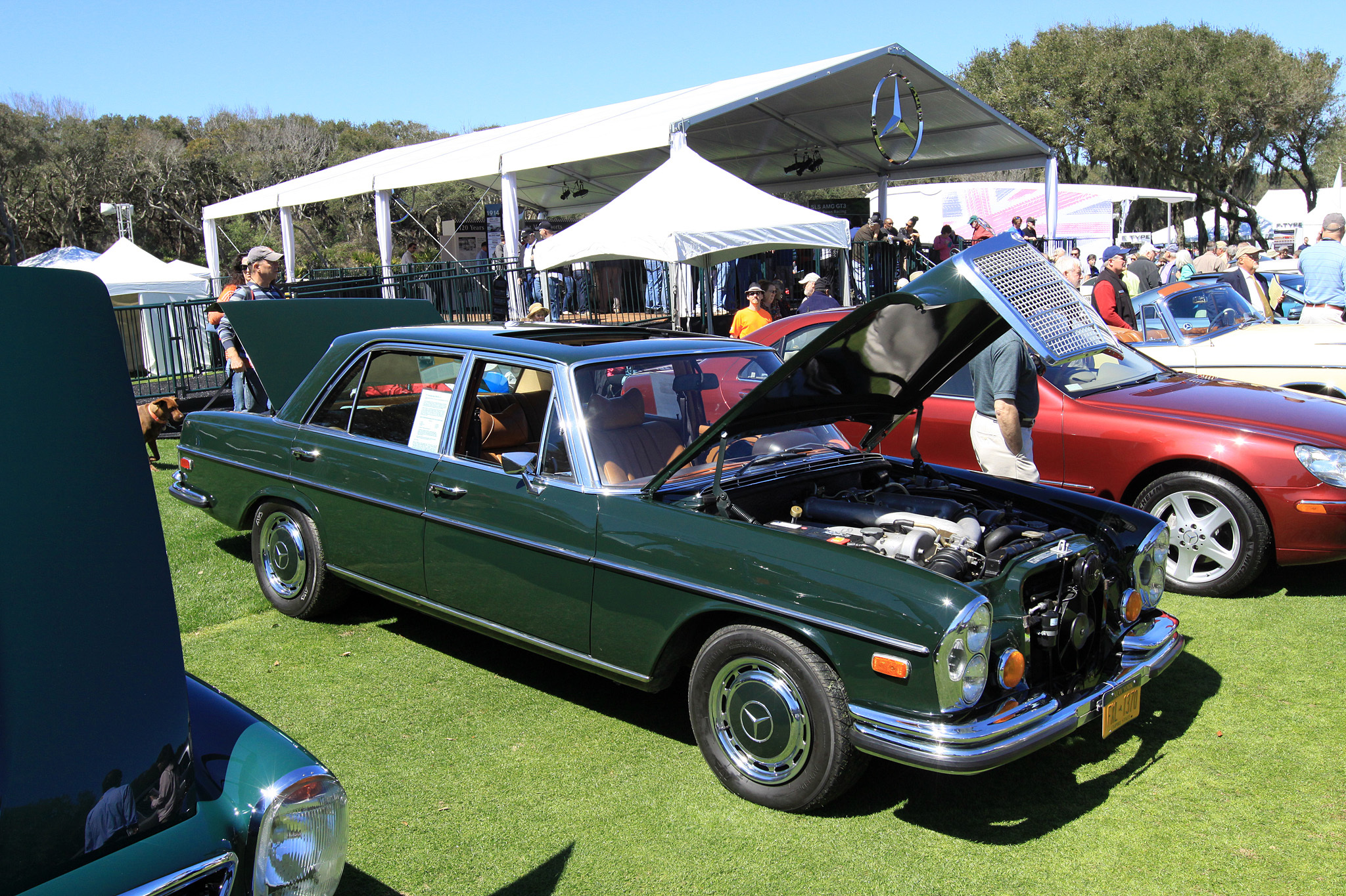 2014 Amelia Island Concours d'Elegance-38